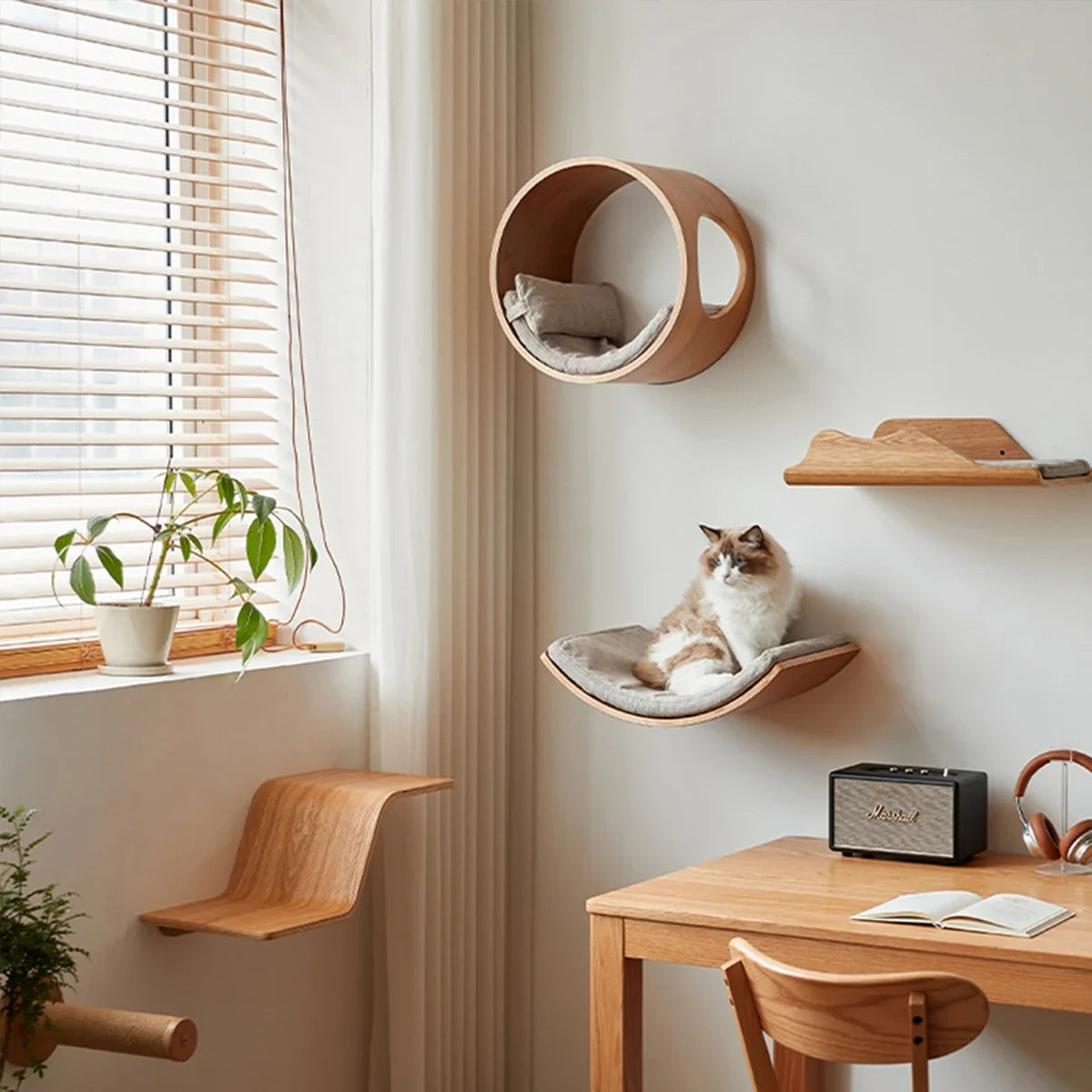 Cat Essentials