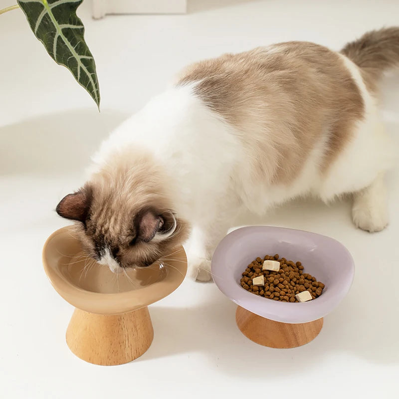 Raised Tilted Cat Bowl with Wooden Stand