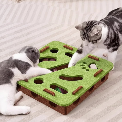 Cat Toy & Scratcher Combo