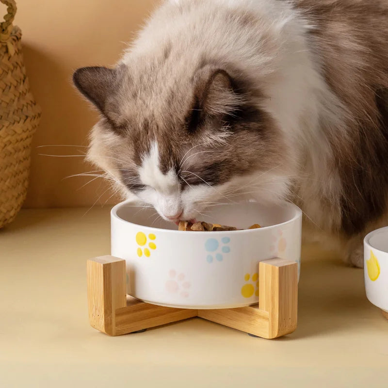 Ceramic Cat Bowl with Wooden Stand