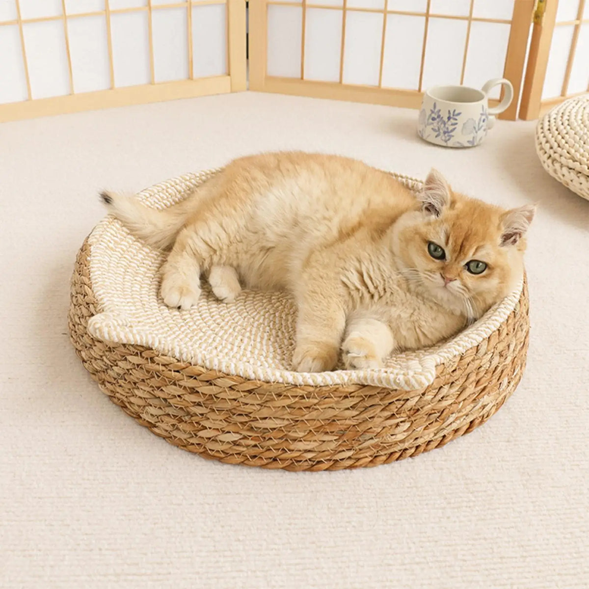 Rattan Cat Sofa Bed with Scratch Board